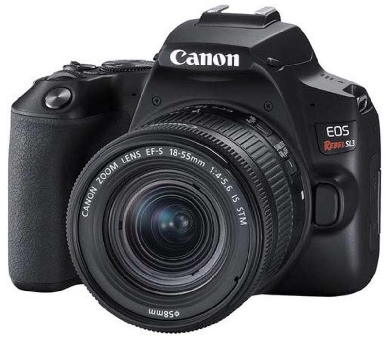 Best DSLR Cameras of 2019 Switchback Travel